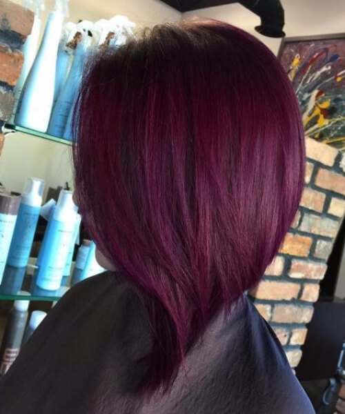 Angled Plum hair color Red Lob 