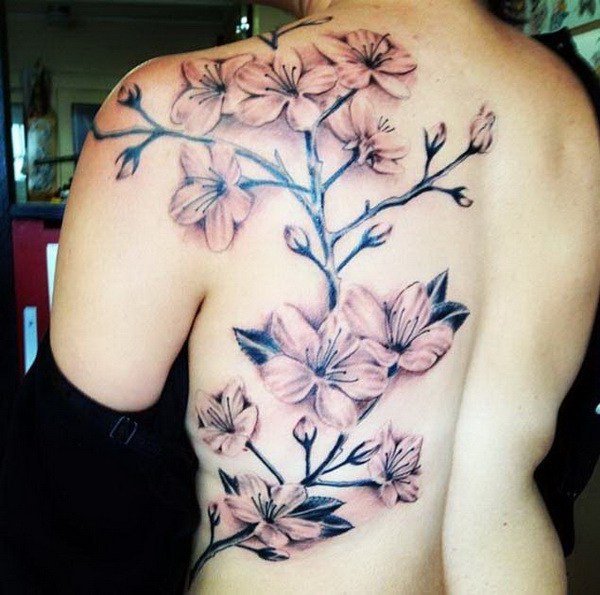 Tatuaje de flor de cerezo negro y gris con un poco de rosa. 