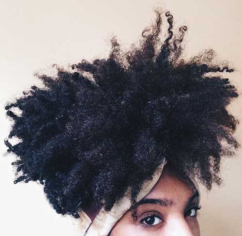 Thick Curly Natural Afro Updo Styles 