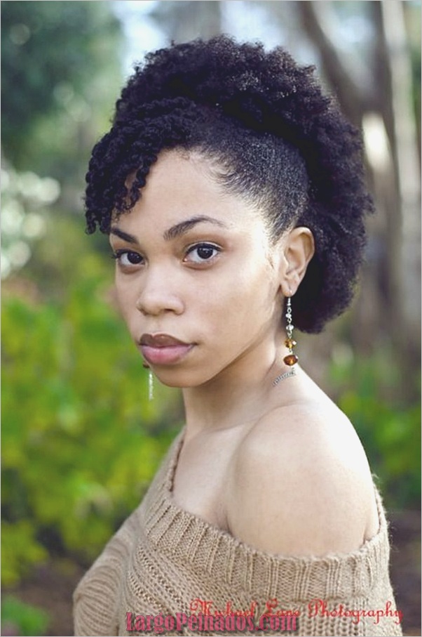 Peinados Naturales para Mujeres Negras (4)