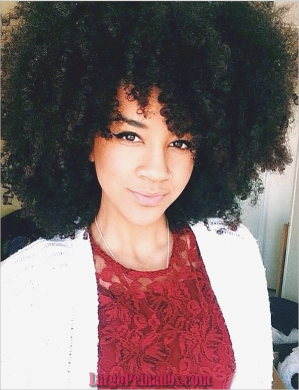 Peinados Naturales para Mujeres Negras (13)