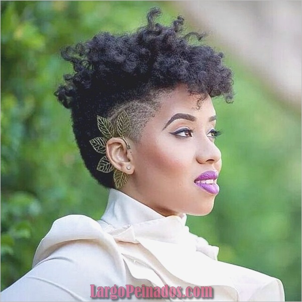 Peinados Naturales para Mujeres Negras (1)