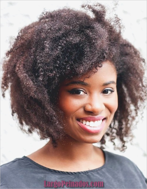 Peinados Naturales para Mujeres Negras (2)