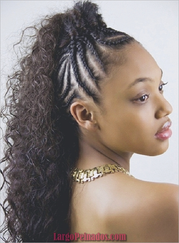Peinados largos para mujeres negras (10)