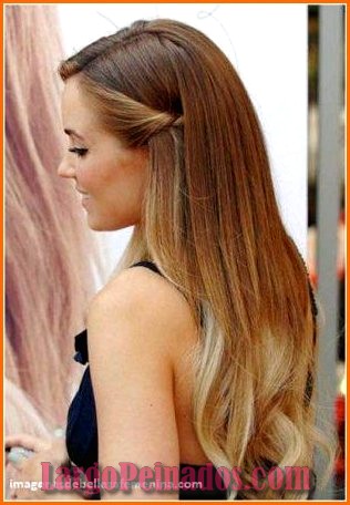 peinados sencillos pelo largo 1
