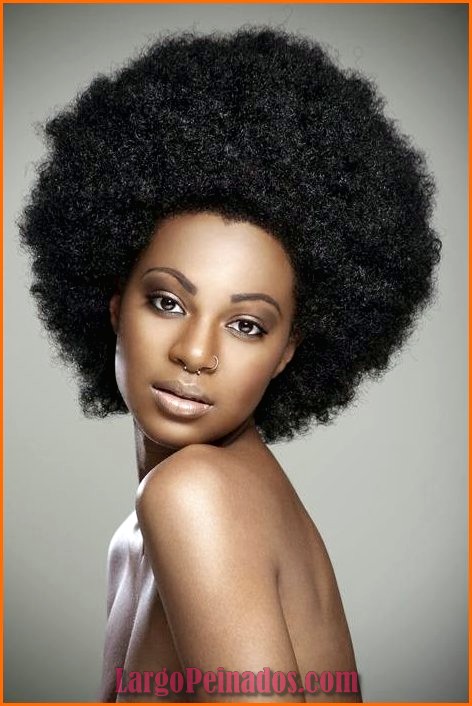 peinados de mujeres negras 25