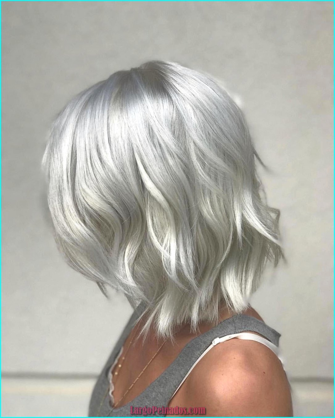 peinados color plata 29