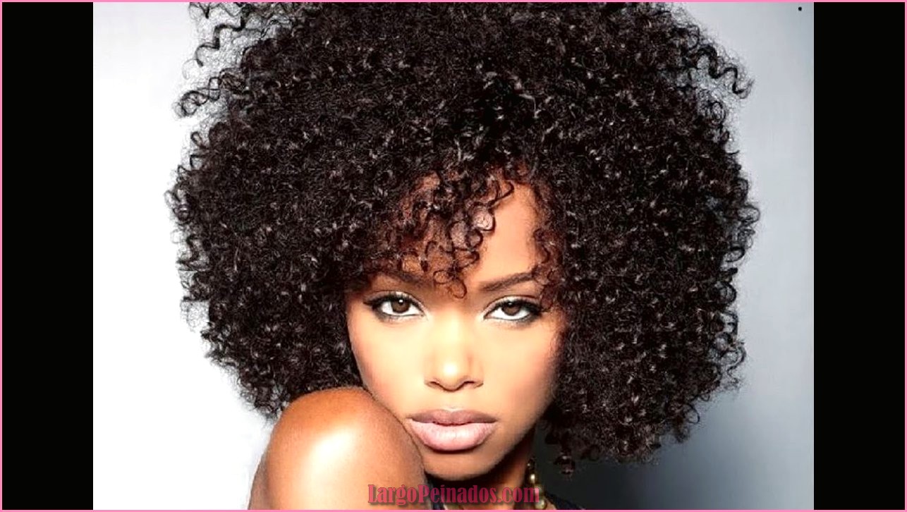 Peinados Afro Pelo Breve Mujer