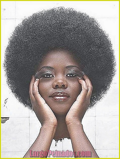 Consejos para mantener la hidratación del cabello afro