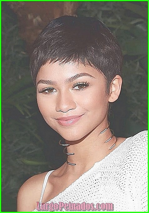 Inspiración de celebridades para el corte de pelo Pixie