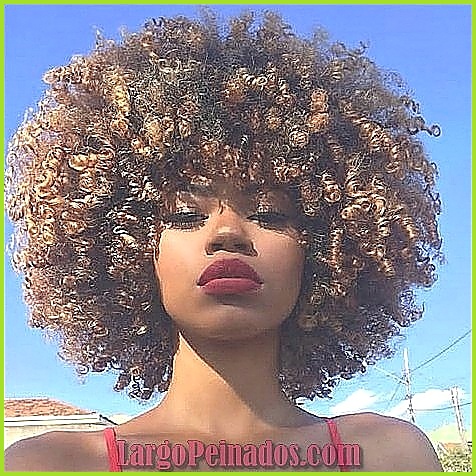 Inspiración de peinados afro para diferentes longitudes de cabello