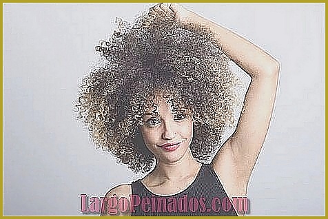 Inspiración de peinados afro para diferentes longitudes de cabello