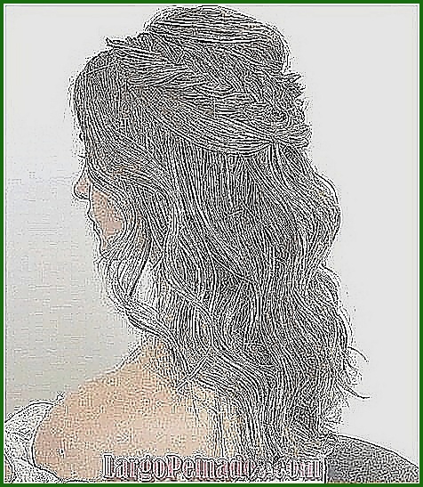 Peinados semi recogidos para cabello largo