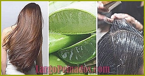 Recetas caseras para hidratar el cabello rizado