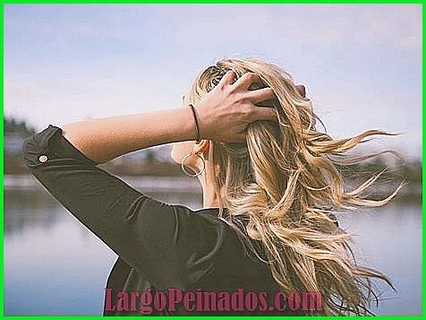 Secretos para mantener el cabello saludable al estilo de las celebridades